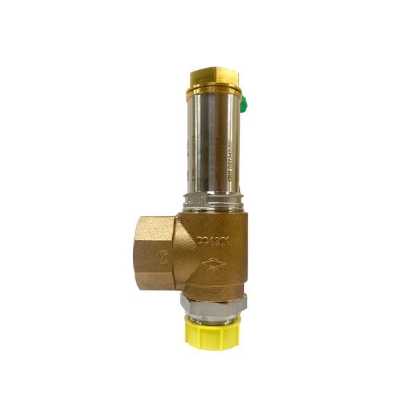 Wessington Cryogenics | CryoGauge 200 3